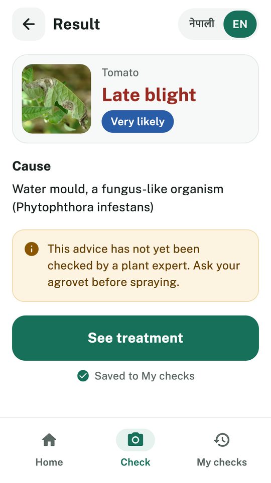 A result: tomato late blight, very likely